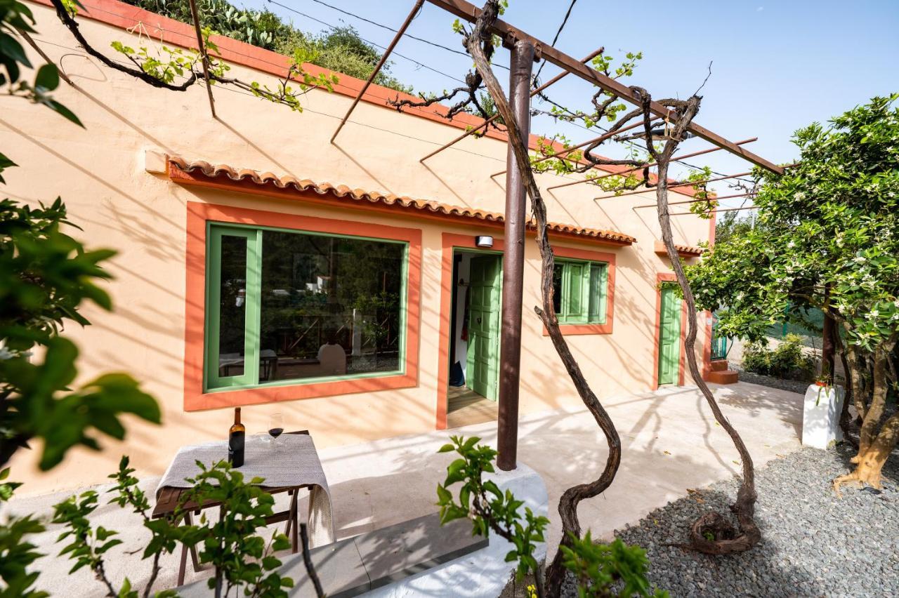 Casa Rural Bejeque Teror Buitenkant foto