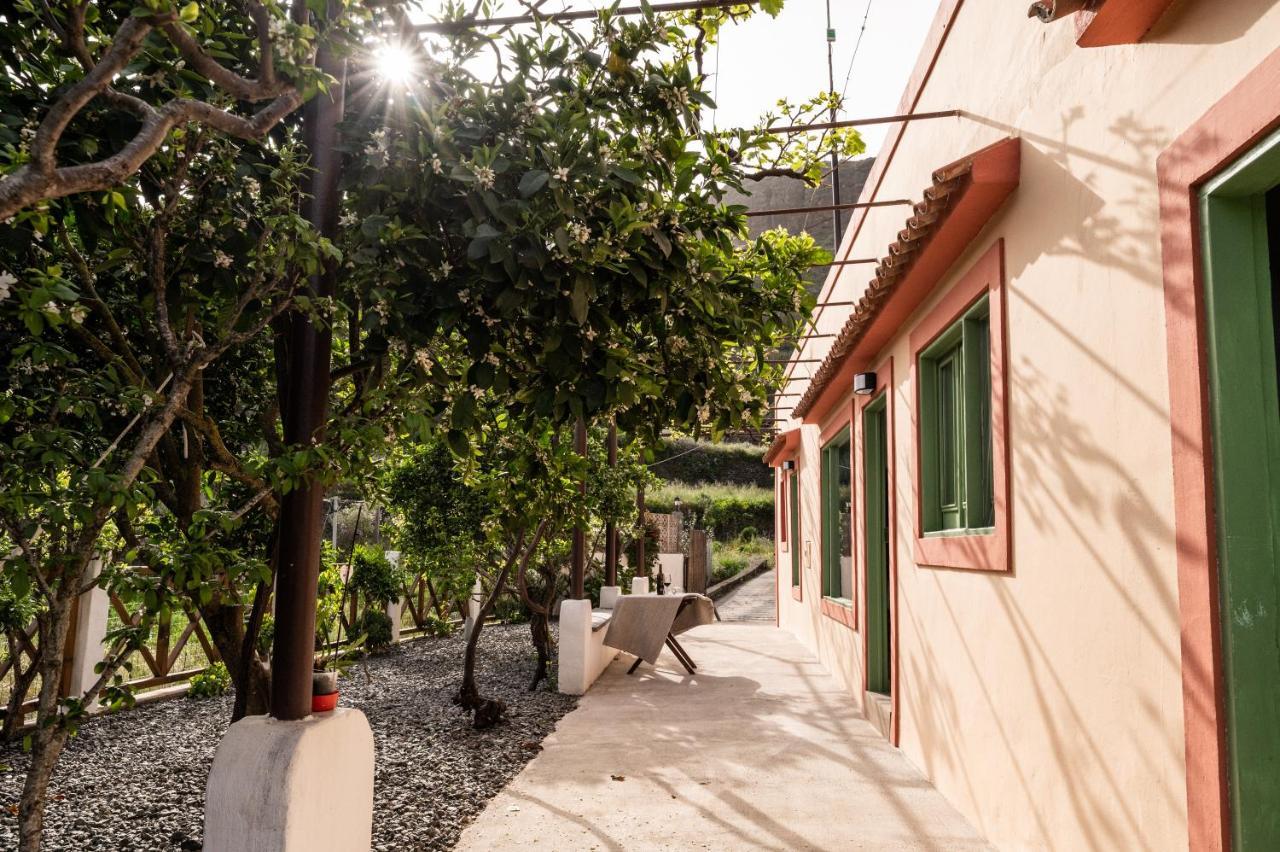 Casa Rural Bejeque Teror Buitenkant foto